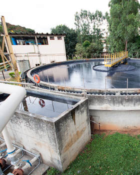 Cedro divulga ações de sustentabilidade