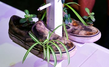 Sete passos para a moda sustentável