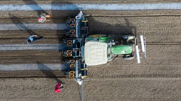 Algodão BCI representa 14% da produção mundial