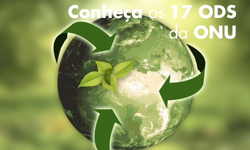 conheca-os-17-ods-da-onu-imagem2